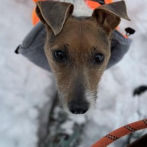 Meet your Posher, Gina